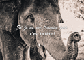 &Eacute;l&eacute;phant souriant pour ta c&eacute;l&eacute;bration